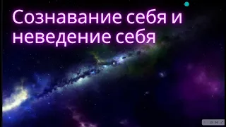 №2. Сознавание себя и неведение себя. Шри Рамана Махарши. Самоисследование.