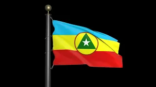 Flag of Cabinda FLEC (proposal flag) (black screen)