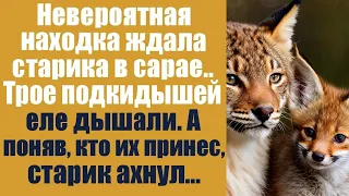 Невероятная находка ждала старика в сарае. Трое малышей еле дышали, а узнав, кто их принёс, старик..