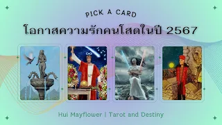 Pick a Card โอกาสความรักคนโสดในปี 2567 | Hui Mayflower