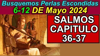 Busquemos PERLAS ESCONDIDAS de esta semana (6-12 de Mayo 2024) Comentarios