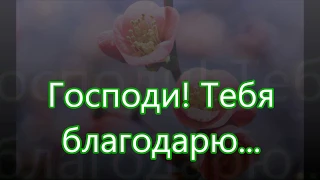 Господи Тебя благодарю преклоняя/// на Пасху