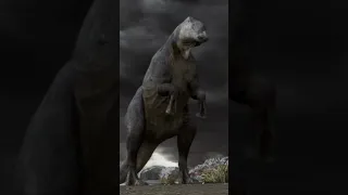 Short fight between dinosaurs | March Of Dinosaurs | #dinosaurs #prehistoric #jurassicworld #dino