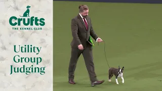 Utility Group Judging | Crufts 2024