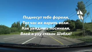 №710✨💫✨Путешествуем на 🚗 Sony AS -300📹 Дорога М-10🛣 Населённые пункты Куженкино-Великий Новгород