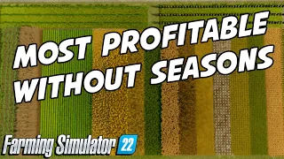 UPDATED Most Profitable Crop In 2024