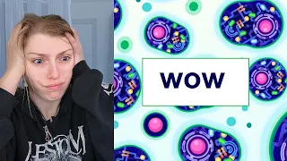 We're Impossible Machines? | Reaction