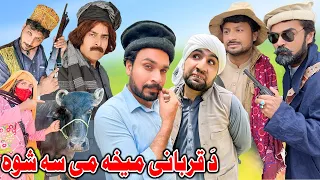 Da Qurbani Mekha Me Su Shawa ||Funny Video || Daji Gull Vines