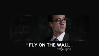 ( slowed down ) fly on the wall