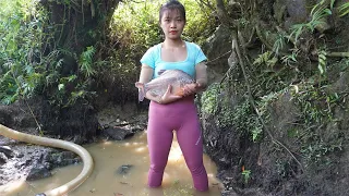 Harvesting fish in the lake Use a large capacity pump and go to the village market to sell