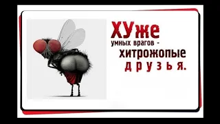 КТО ОБИЖАЕТ МОЛОДЦОВУ https://www.youtube.com/watch?v=UhEekyxLErY