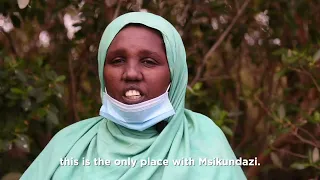 Kipini mangrove restoration