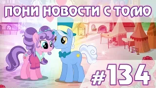 Неделя новинок - ПОНИ НОВОСТИ с Томо - выпуск 134