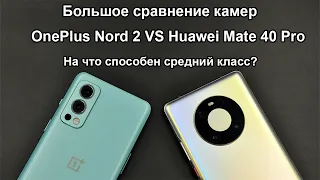 Сравнение камер OnePlus Nord 2 и Huawei Mate 40 Pro. Может ли средний смартфон тягаться с флагманом?