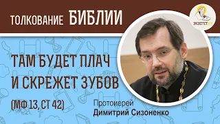 Там будет плач и скрежет зубов (Мф 13:42) Протоиерей Димитрий Сизоненко. Толкование Нового Завета