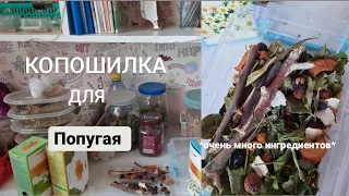 Копошилка для попугая