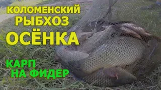 Коломенский рыбхоз Осенка / Отчет о платной рыбалке (фидер, карп)