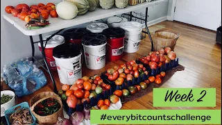 Large Garden harvest, time to preserve it all | Week 2 of the #everybitcountschallenge