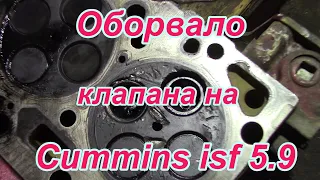 Оборвало клапана на Cummins |  оборвало клапан причины