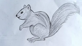How to draw a Squirrel 🐿️ easy..| Shri Radha Drawing Academy