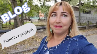 Влог/ Вся в делах и заботах 😒 Чуть не посадили за кукурузу 🤦Она потратила на меня время😕