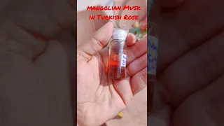 Mangolian Musk Macerated in Damask Rose oil.