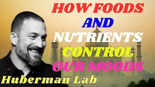 How Foods and Nutrients Control Our Moods II Huberman Lab