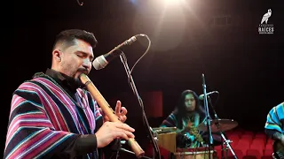 Concierto – Grupo Putumayo – Festival Raíces Bogotá Andina 2020