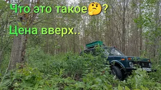 Металлокоп,супер находка!