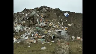 Прокуратура «откопала» под Анапой свалку отходов, которую пытались по-быстрому скрыть