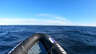 ДАЛЬШЕ В МОРЕ - ТОЛЩЕ РЫБА / FURTHER OUT IN THE SEA-THICKER FISH