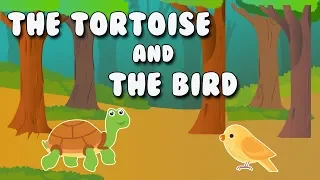 The tortoise and the bird cartoon