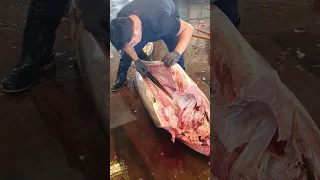 The sharpest knife in the world cuts 400kg bluefin tuna bones as easily as tofu／用世界上最鋒利的刀切400公斤黑鮪魚骨頭