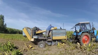 УРОЖАЙ КАРТОПЛІ / Ми зібрали картоплю... ЯК ДОБРЕ,  ЩО Є ТАКА ТЕХНІКА .!!