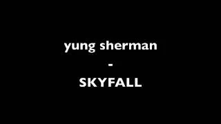 yung sherman - SKYFALL