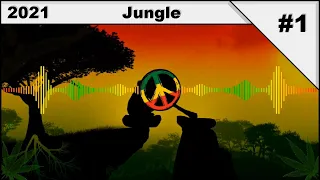 Jungle/Ragga Jungle/Reggae Jungle/DNB 2021 Mix #1