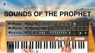 Sequential Prophet 5/10: a Musical Exploration