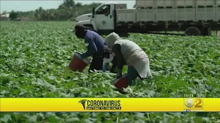 Farm Workers Say They’re Working In Dangerous Conditions Amid COVID-19 Crisis