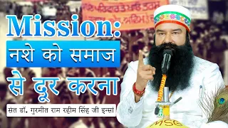 MSG Bhandara Punjab Live | Incarnation Month | Saint Dr. MSG Insan | Depth Campaign
