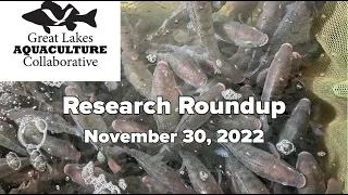 Great Lakes Aquaculture Collaborative Research Roundup: Regional Findings and Insights