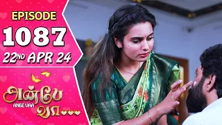 Anbe Vaa Serial | Episode 1087 | 22nd April 24 | Virat | Shree Gopika | Saregama TV Shows Tamil