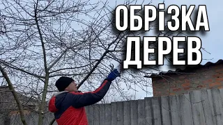 Готовимося до ВЕСНИ! Як обрізати дерева?