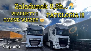 Najdłuższy załadunek 🤦‍♂️ 8,5 godziny… Patologiczna Italia 🤣 Vlog #60