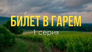 podcast: Билет в гарем - 1 серия - сериальный онлайн киноподкаст подряд, обзор