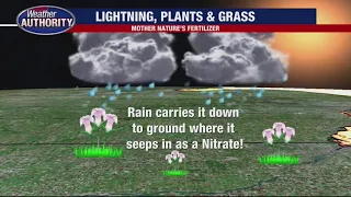 Lightning is a natural fertilizer