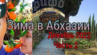 Абхазия❤ Новый Афон🍊Поездка за мандаринами Часть2🌿 Даче Сталина✨ Отель Грифон Влог