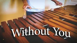 Avicii - Without You (Marimba Cover)