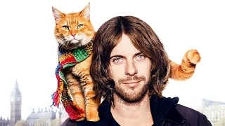 قصة حقيقية - قطة بتحول شاب مدمن مخدرات لشخص مشهور وناجح | ملخص فيلم A Street Cat Named Bob