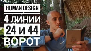 Дизайн Человека 24 и 44 ворота. 4 линии Даниил Трофимов. Human Design