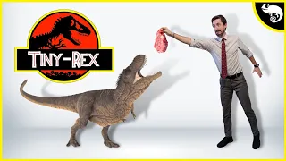 What's the SMALLEST Tyrannosaurid?